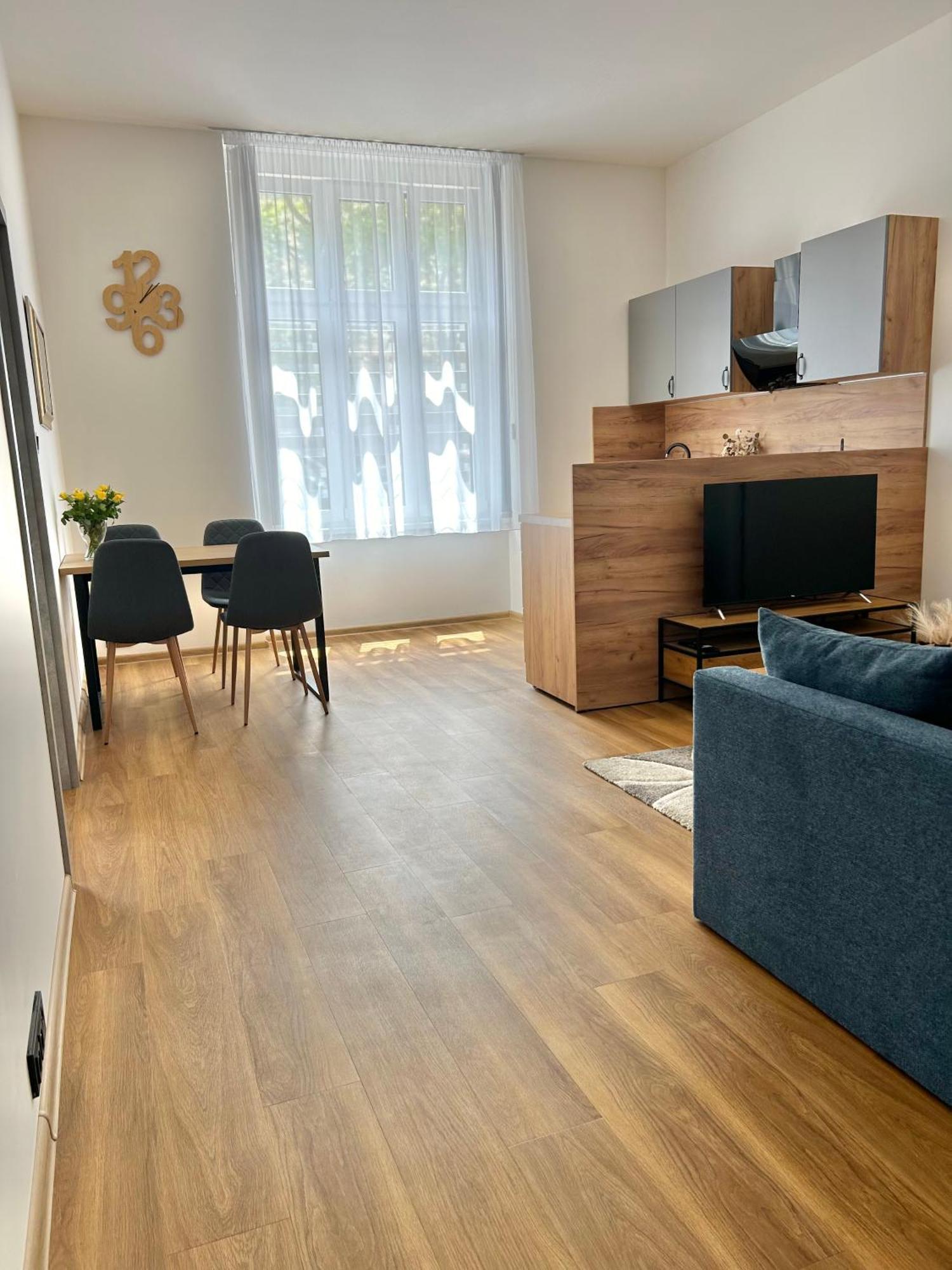 Apartment Dita Karlovy Vary Esterno foto