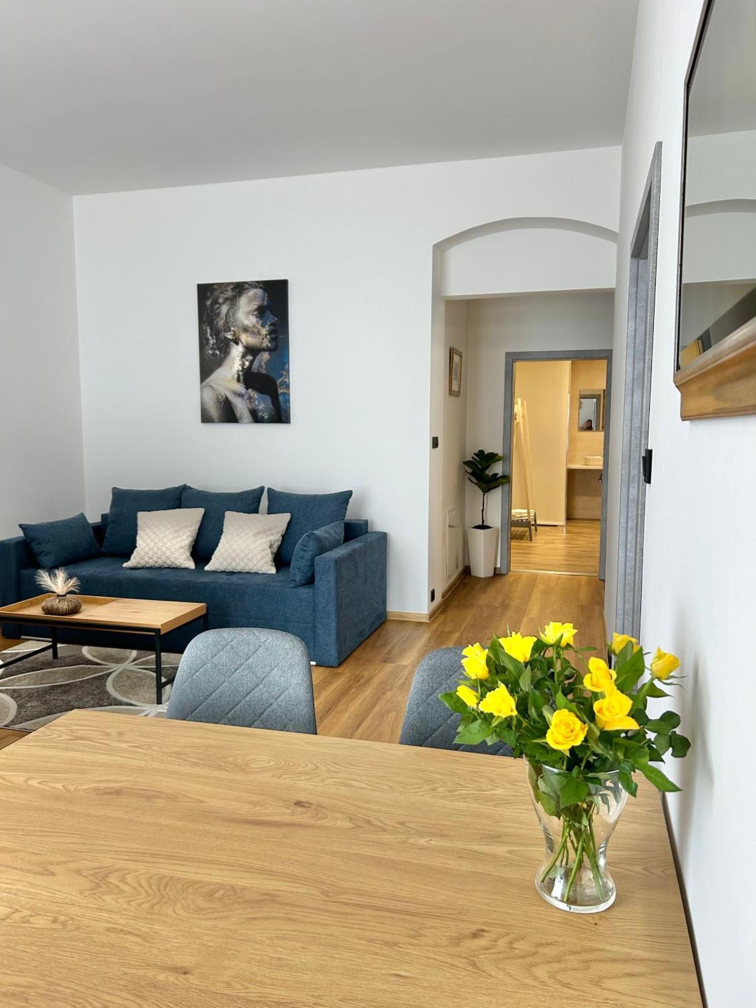 Apartment Dita Karlovy Vary Esterno foto